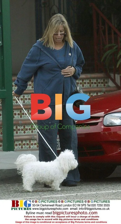 Barbara Streisand Takes Dog Walk
