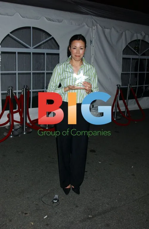 ANN CURRY at Fresh Air Fund event
