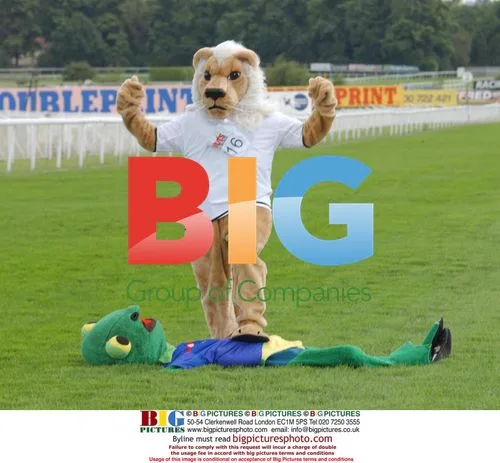 Euro Championship Mascot Race