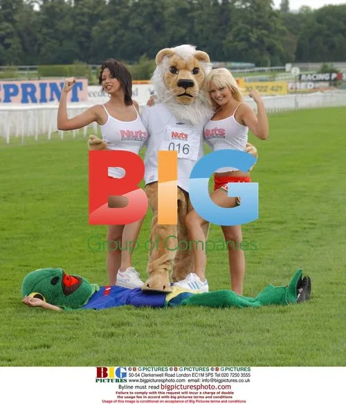 Euro Championship Mascot Race