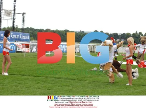 Euro Championship Mascot Race Prediction