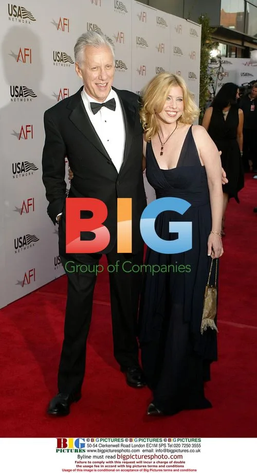 James Wood at 32nd AFI Life Achievement Award Honoring Meryl Streep