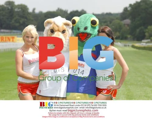Mascot Race Predicting Euro Championship