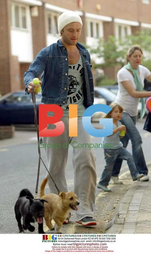 Jude Law Walks Children and Dogs