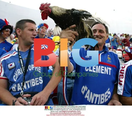 French Supporters & Their Cockerel