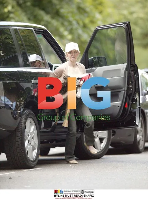 Singer Lulu arrives home in North London