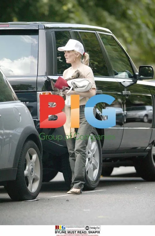 Singer Lulu Arrives Home