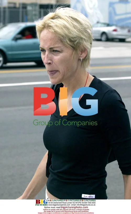 Sharon Stone Steps into Messy Situation