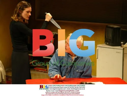 Catherine McCormack and Michael Pennington in "When The Night Begins"