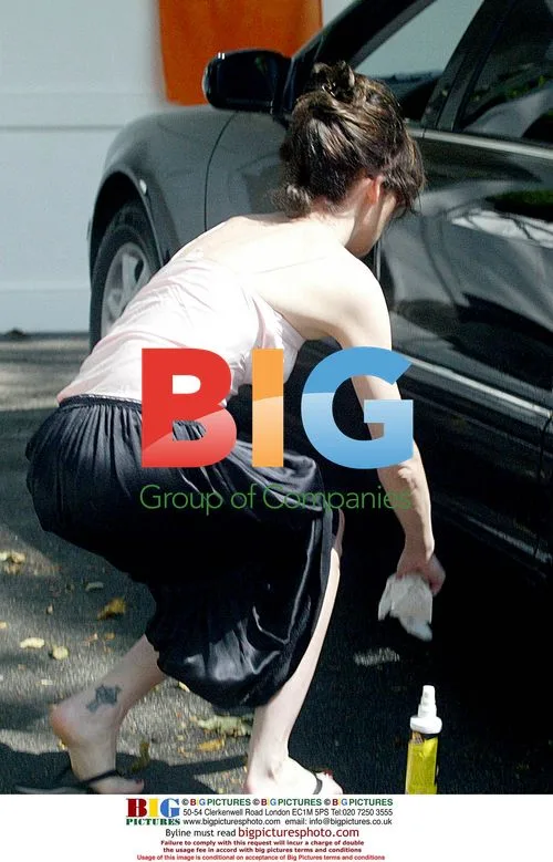 Laura Flynn Boyle Washing Car