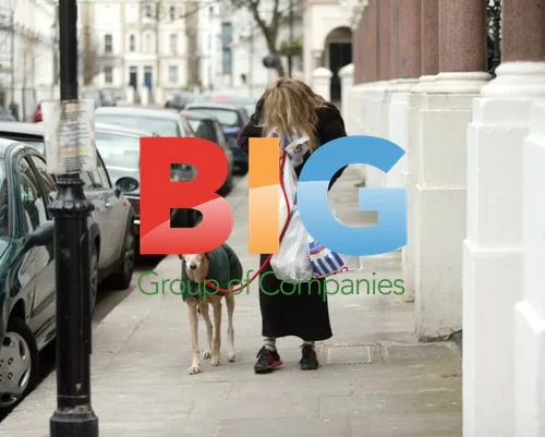 Emma Parker Bowles After Tesco Shopping Trip