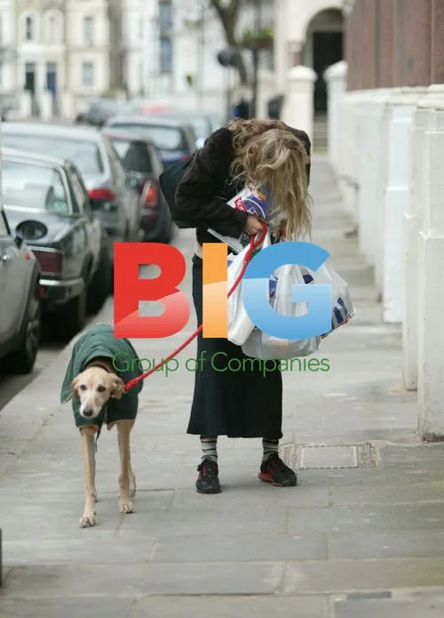 Emma Parker Bowles Arrives Home from Tesco