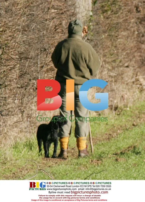 Kacey Ainsworth and Fiance Darren Out Walking Dogs