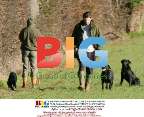 Kacey Ainsworth and Fiance Darren Walking Dogs