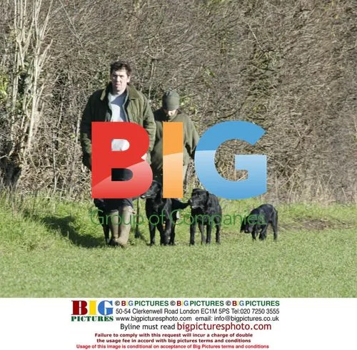 Kacey Ainsworth and Fiance Out With Dogs