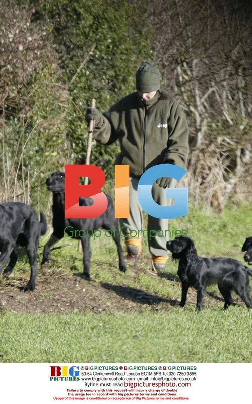 Eastenders Actress Kacey Ainsworth and Fiance Darren Walking Dogs