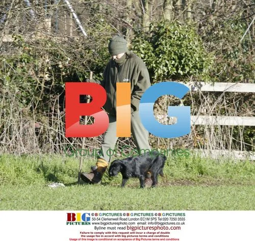Kacey Ainsworth and Fiance Out Walking Dogs