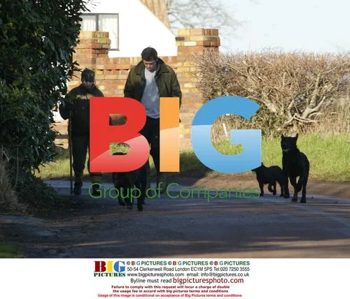 Kacey Ainsworth and Fiance Darren Walking Dogs
