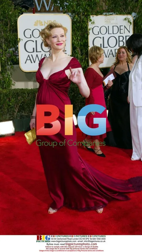 Cate Blanchett at 61st Golden Globes
