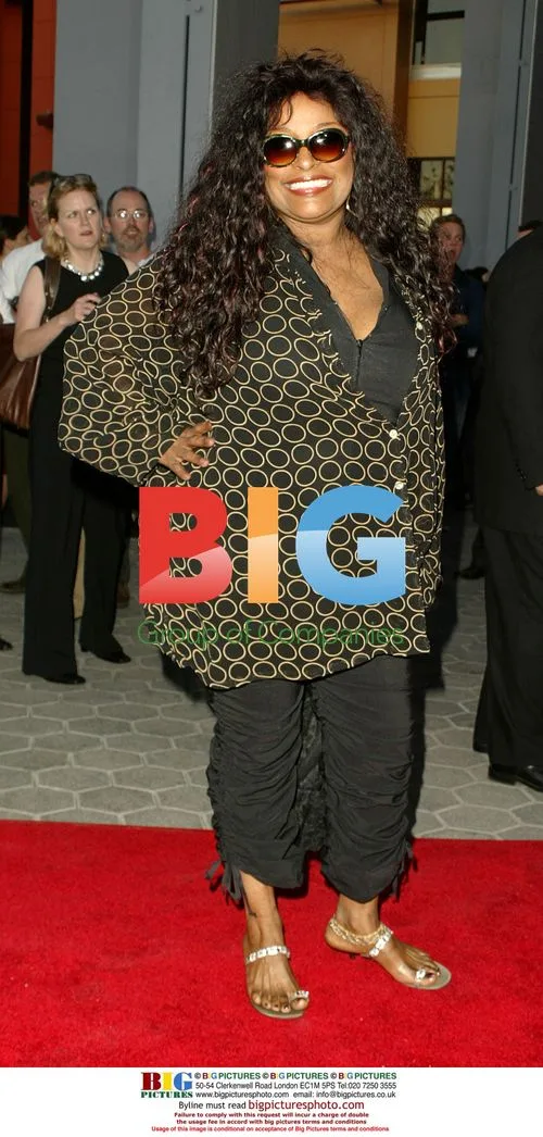 Chaka Khan at 'Van Helsing Premiere'