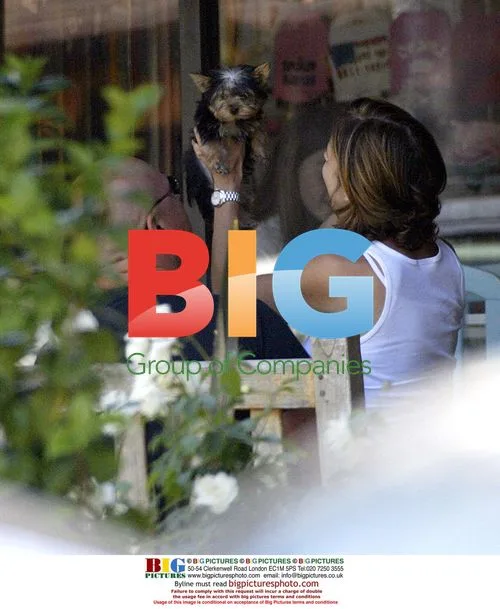 Michael Chiklis Finds Puppy for Mother's Day