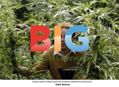Reefer Madness (2004) on-set photo