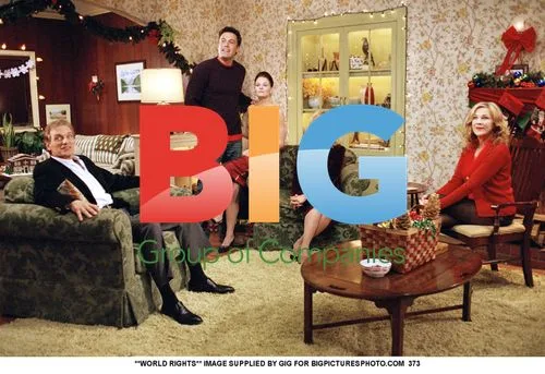 Surviving Christmas Cast Photo