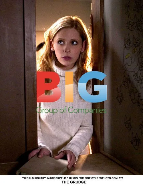 Sarah Michelle Gellar in The Grudge