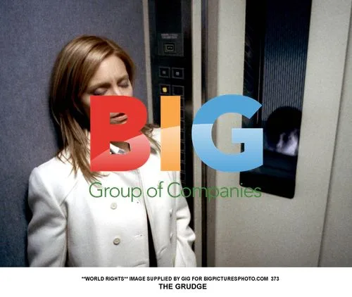 Sarah Michelle Gellar in The Grudge