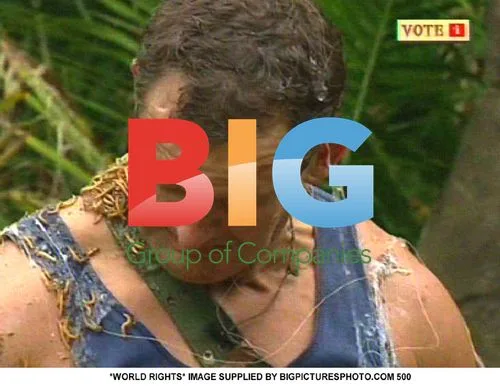 Celebs Get Heated in the Jungle