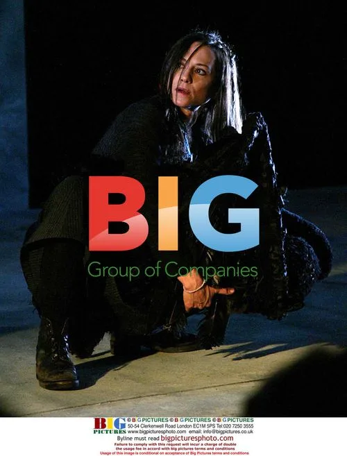 Holly Hunter Debuts in 'By The Bog Of Cats'