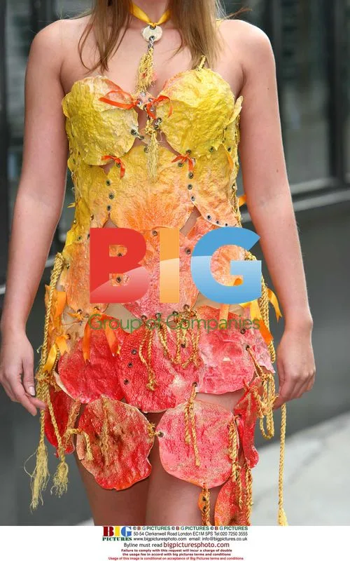 Model Rebecca Lowe in Popadum Dress