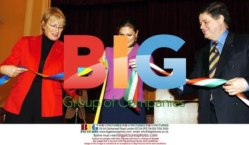 Crown Princess Victoria of Sweden in Budapest