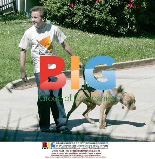 Frankie Muniz Walking Dog in Hollywood