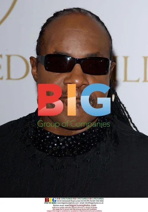 Stevie Wonder Celebrates Ray Charles