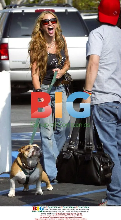 Actress Drea de Matteo Struggles with Bulldog