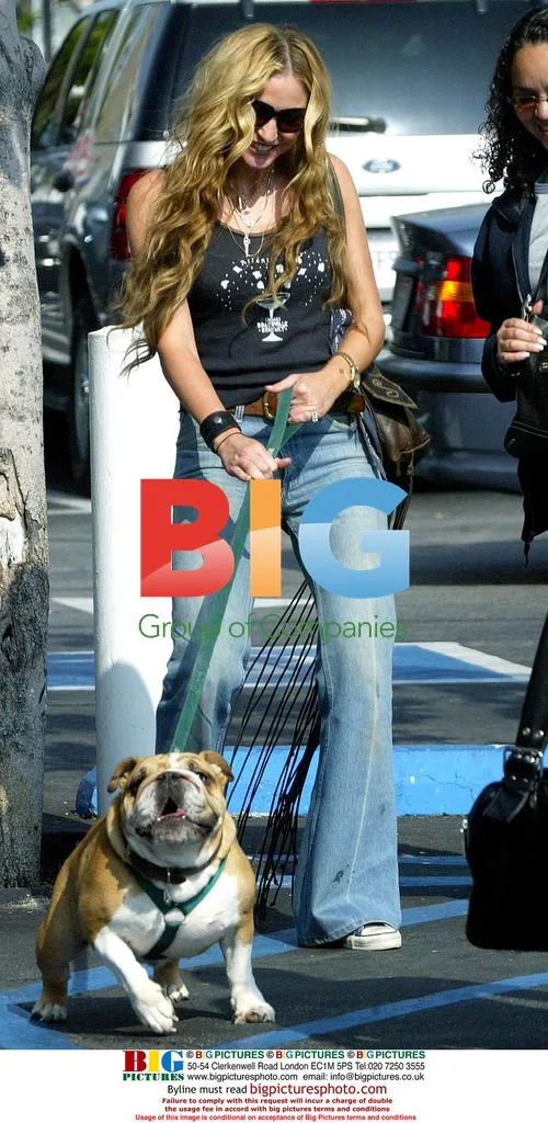 Drea de Matteo struggles with dog in Beverly Hills