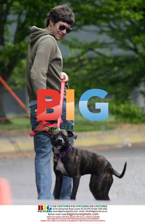 Adam Brody Walks Dog on Film Break