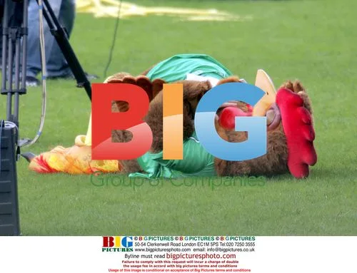 Sean Wilson as a Chicken Mascot