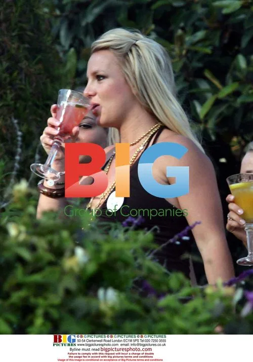 Britney Spears' Baby Shower in Malibu