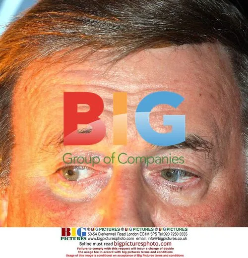 Terry Wogan at IRMA Awards