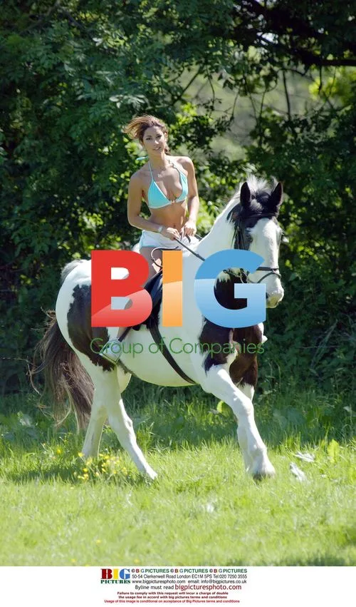 Glamour Model Leilani Grooming Horse