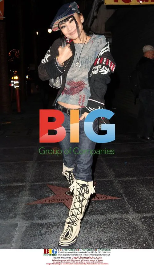 Bai-Ling Strikes Poses While Clubbing in Hollywood
