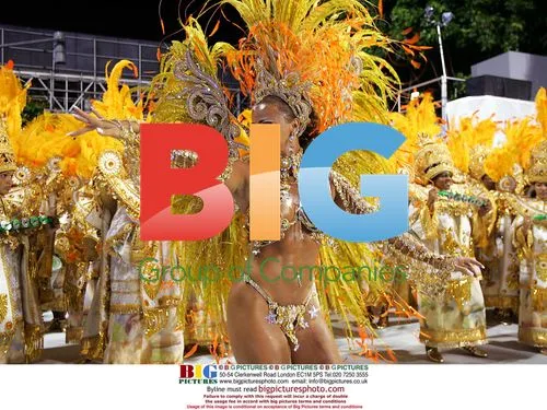 Viviane Araujo, Brazilian Actress, at Rio Samba Parade