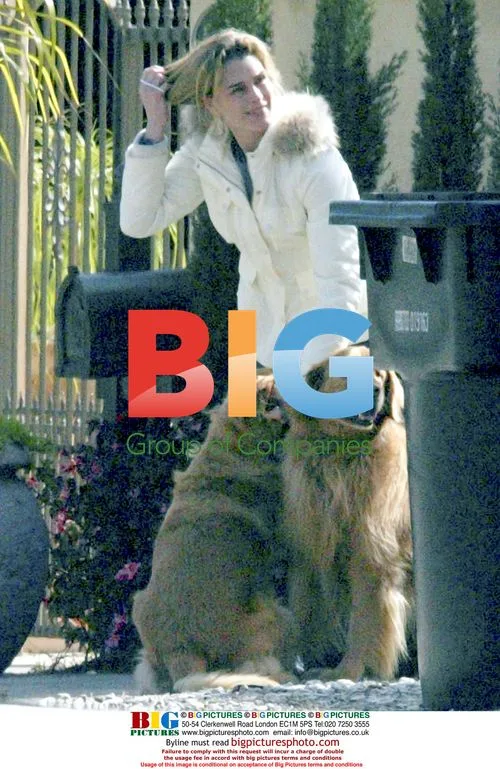 Brooke Shields Saves Dogs on Sunset Blvd
