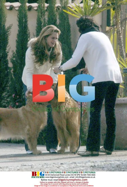 Brooke Shields Saves Two Stray Dogs
