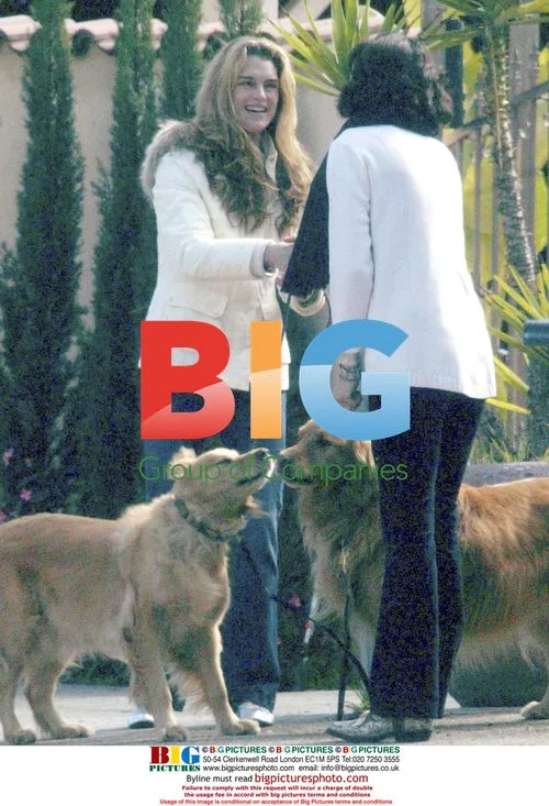 Brooke Shields Saves Stray Dogs on Sunset Blvd