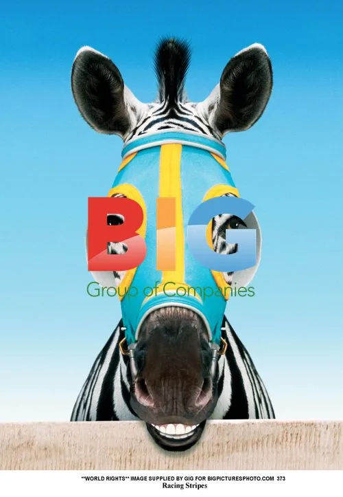 Racing Stripes Animation Film