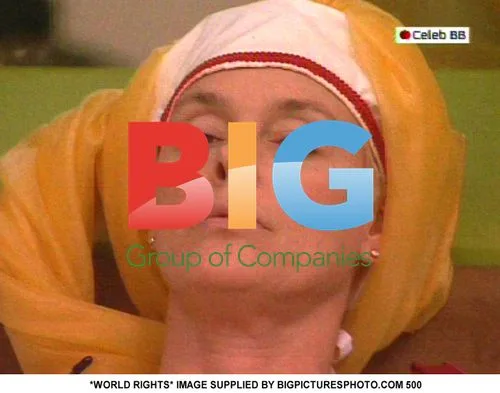 Celebrity Big Brother House Task
