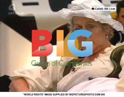 Celebrity Big Brother House Task